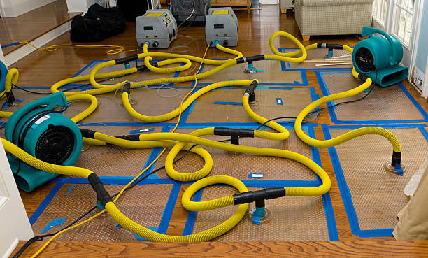 Professional Crawl Space Water Removal technician working in Wilmington, IL